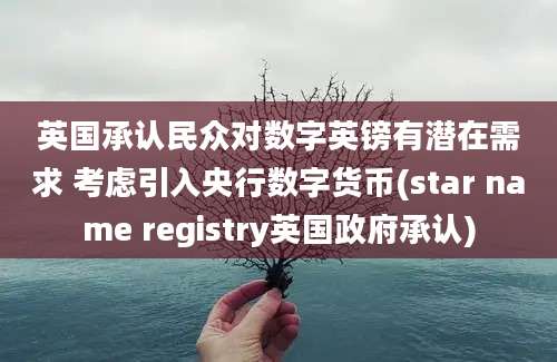 英国承认民众对数字英镑有潜在需求 考虑引入央行数字货币(star name registry英国政府承认)