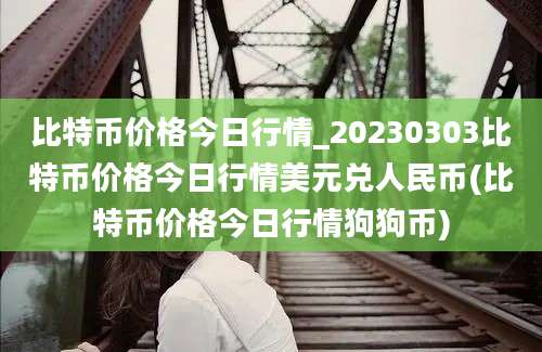 比特币价格今日行情_20230303比特币价格今日行情美元兑人民币(比特币价格今日行情狗狗币)