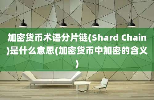 加密货币术语分片链(Shard Chain)是什么意思(加密货币中加密的含义)