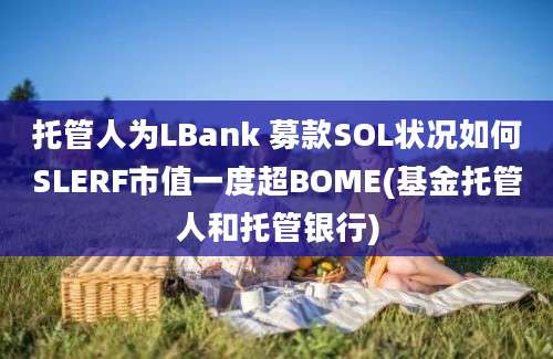 托管人为LBank 募款SOL状况如何SLERF市值一度超BOME(基金托管人和托管银行)