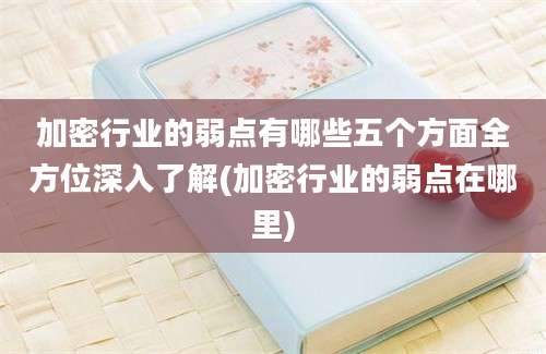 加密行业的弱点有哪些五个方面全方位深入了解(加密行业的弱点在哪里)