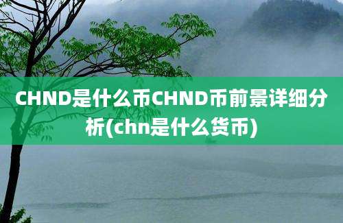 CHND是什么币CHND币前景详细分析(chn是什么货币)