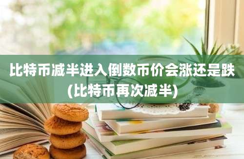 比特币减半进入倒数币价会涨还是跌(比特币再次减半)