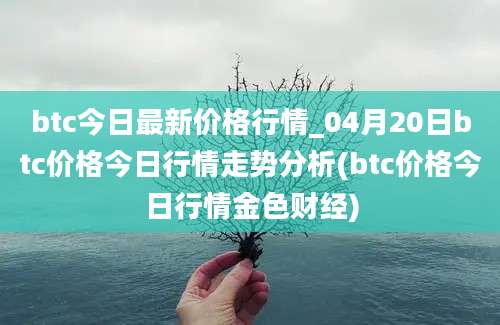 btc今日最新价格行情_04月20日btc价格今日行情走势分析(btc价格今日行情金色财经)