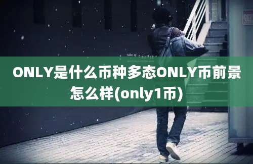 ONLY是什么币种多态ONLY币前景怎么样(only1币)