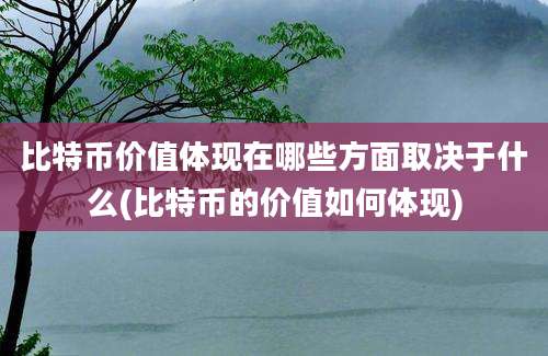 比特币价值体现在哪些方面取决于什么(比特币的价值如何体现)