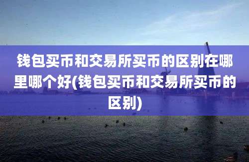 钱包买币和交易所买币的区别在哪里哪个好(钱包买币和交易所买币的区别)