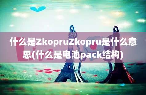 什么是ZkopruZkopru是什么意思(什么是电池pack结构)