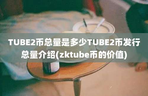 TUBE2币总量是多少TUBE2币发行总量介绍(zktube币的价值)