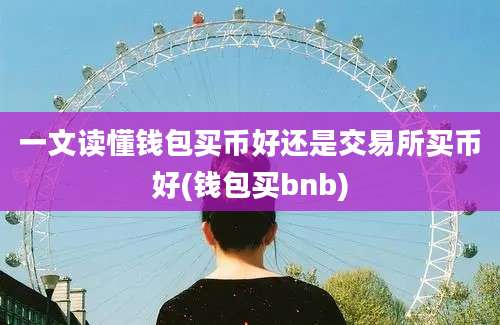 一文读懂钱包买币好还是交易所买币好(钱包买bnb)