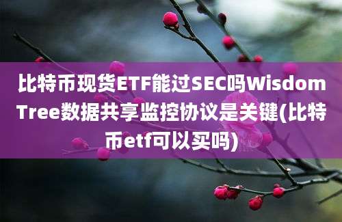 比特币现货ETF能过SEC吗WisdomTree数据共享监控协议是关键(比特币etf可以买吗)