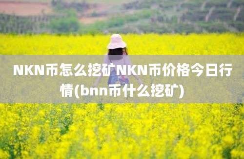 NKN币怎么挖矿NKN币价格今日行情(bnn币什么挖矿)