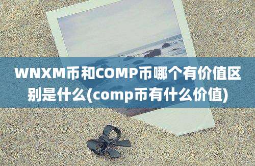 WNXM币和COMP币哪个有价值区别是什么(comp币有什么价值)