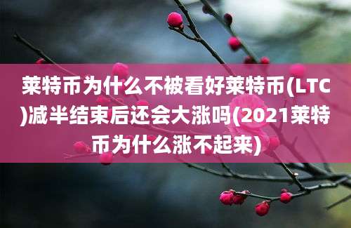 莱特币为什么不被看好莱特币(LTC)减半结束后还会大涨吗(2021莱特币为什么涨不起来)