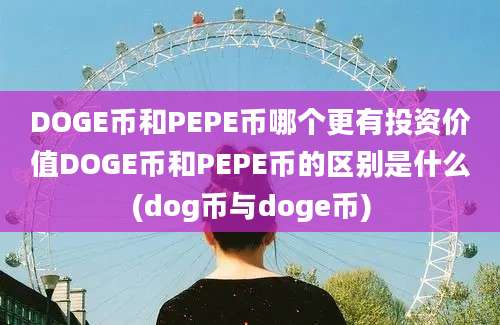 DOGE币和PEPE币哪个更有投资价值DOGE币和PEPE币的区别是什么(dog币与doge币)