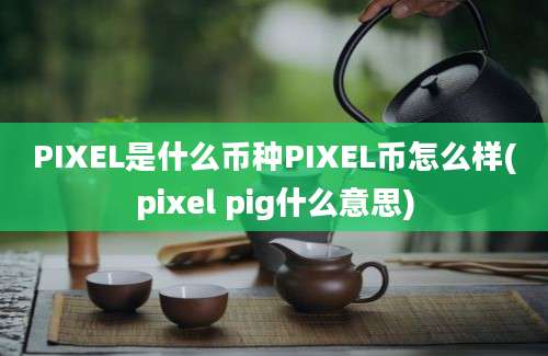 PIXEL是什么币种PIXEL币怎么样(pixel pig什么意思)