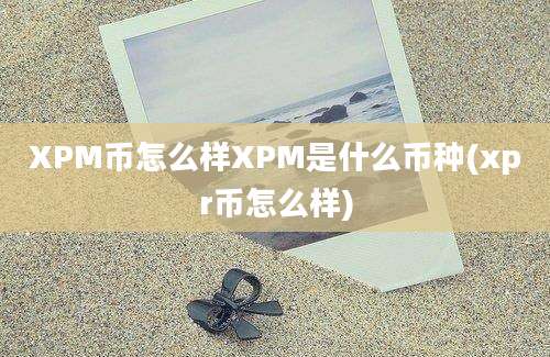 XPM币怎么样XPM是什么币种(xpr币怎么样)