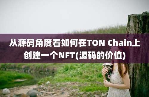 从源码角度看如何在TON Chain上创建一个NFT(源码的价值)