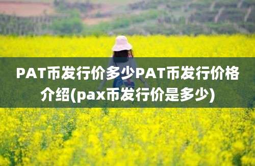 PAT币发行价多少PAT币发行价格介绍(pax币发行价是多少)