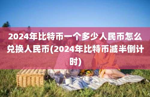 2024年比特币一个多少人民币怎么兑换人民币(2024年比特币减半倒计时)