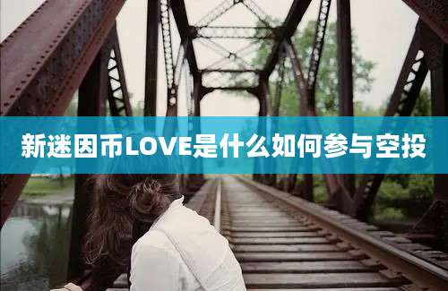 新迷因币LOVE是什么如何参与空投