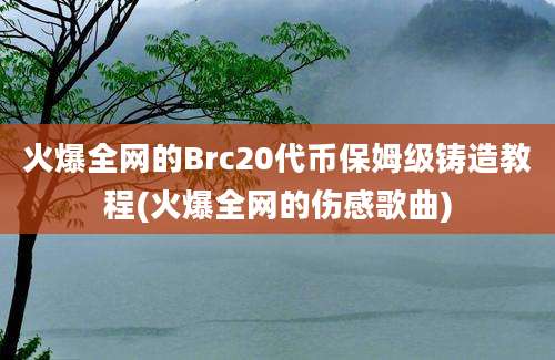 火爆全网的Brc20代币保姆级铸造教程(火爆全网的伤感歌曲)