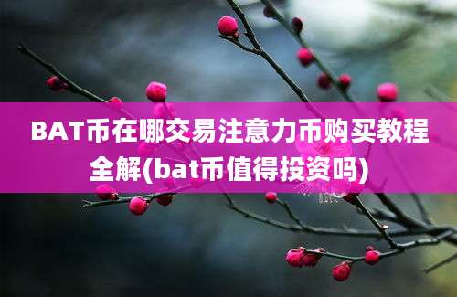 BAT币在哪交易注意力币购买教程全解(bat币值得投资吗)