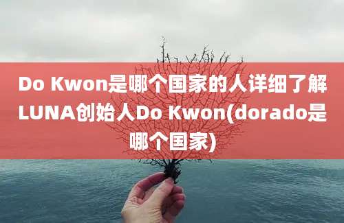 Do Kwon是哪个国家的人详细了解LUNA创始人Do Kwon(dorado是哪个国家)