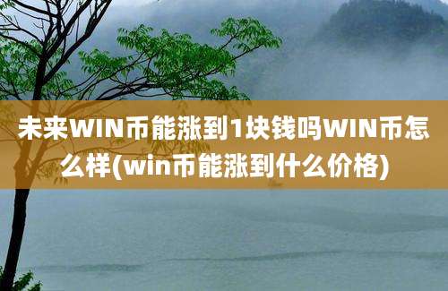 未来WIN币能涨到1块钱吗WIN币怎么样(win币能涨到什么价格)