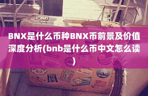 BNX是什么币种BNX币前景及价值深度分析(bnb是什么币中文怎么读)