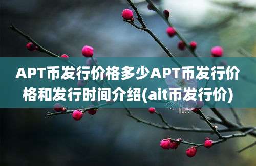 APT币发行价格多少APT币发行价格和发行时间介绍(ait币发行价)