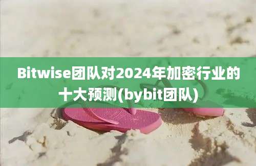 Bitwise团队对2024年加密行业的十大预测(bybit团队)