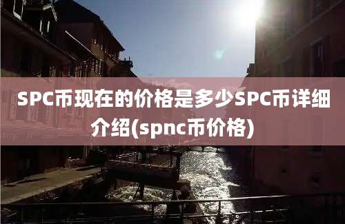 SPC币现在的价格是多少SPC币详细介绍(spnc币价格)