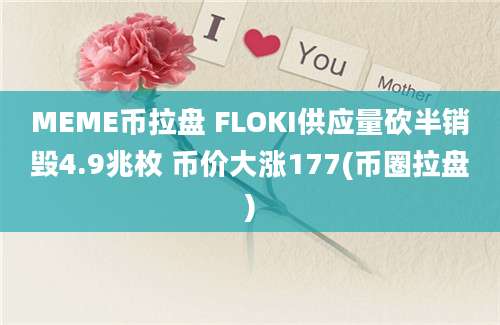 MEME币拉盘 FLOKI供应量砍半销毁4.9兆枚 币价大涨177(币圈拉盘)