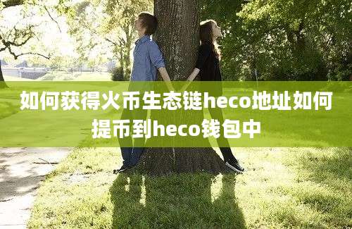 如何获得火币生态链heco地址如何提币到heco钱包中