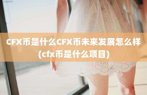 CFX币是什么CFX币未来发展怎么样(cfx币是什么项目)