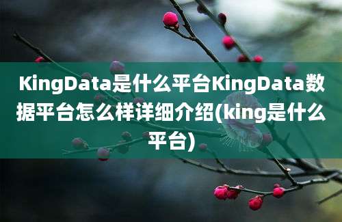 KingData是什么平台KingData数据平台怎么样详细介绍(king是什么平台)