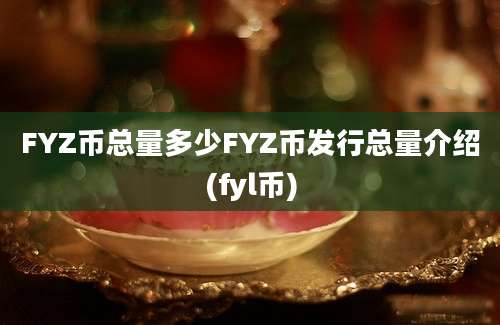 FYZ币总量多少FYZ币发行总量介绍(fyl币)