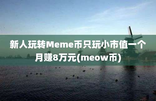 新人玩转Meme币只玩小市值一个月赚8万元(meow币)