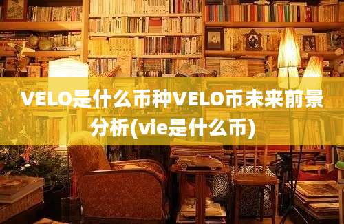 VELO是什么币种VELO币未来前景分析(vie是什么币)