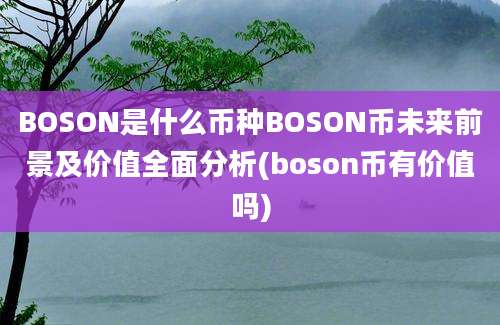 BOSON是什么币种BOSON币未来前景及价值全面分析(boson币有价值吗)