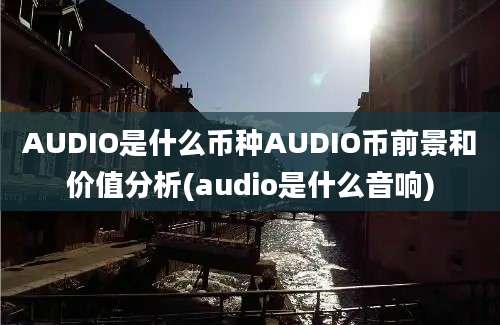 AUDIO是什么币种AUDIO币前景和价值分析(audio是什么音响)