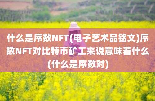 什么是序数NFT(电子艺术品铭文)序数NFT对比特币矿工来说意味着什么(什么是序数对)