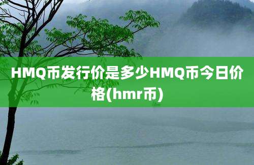 HMQ币发行价是多少HMQ币今日价格(hmr币)