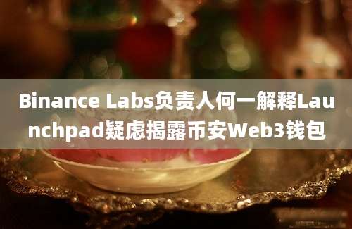 Binance Labs负责人何一解释Launchpad疑虑揭露币安Web3钱包