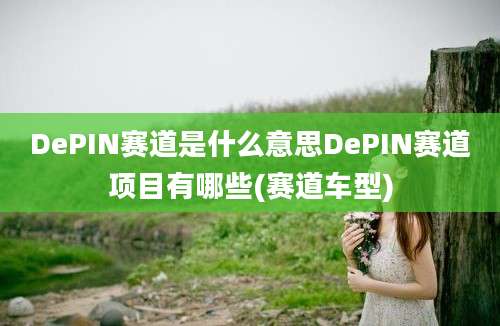 DePIN赛道是什么意思DePIN赛道项目有哪些(赛道车型)