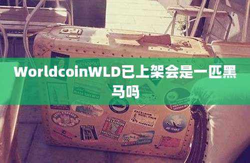 WorldcoinWLD已上架会是一匹黑马吗