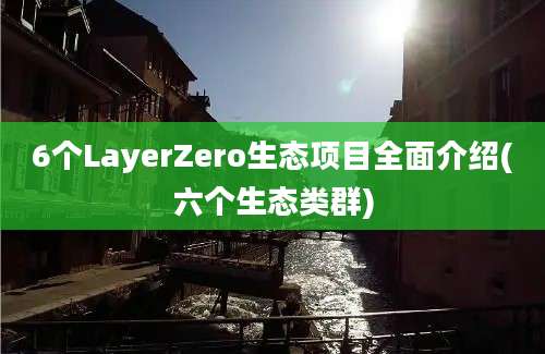 6个LayerZero生态项目全面介绍(六个生态类群)