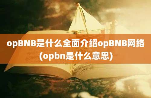 opBNB是什么全面介绍opBNB网络(opbn是什么意思)