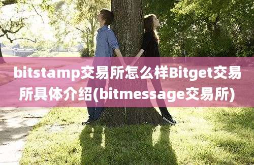 bitstamp交易所怎么样Bitget交易所具体介绍(bitmessage交易所)